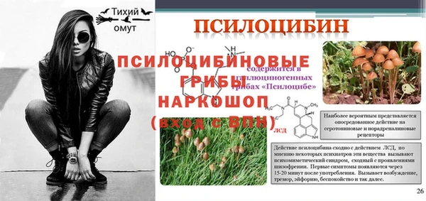 твердый Каменка
