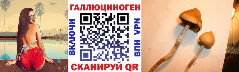 Галлюциногенные грибы Cubensis  Купить где  Туймазы 